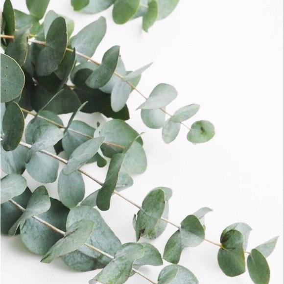 Meet your Posher, Sarah - Picture 1 of 1